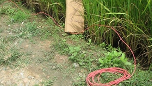 Thuốc diệt chuột hiệu quả